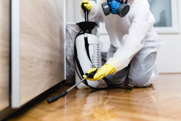Best Mosquito Control Services  in Bloomingdale, NJ