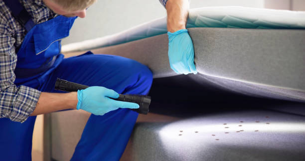 Best Termite Control Services  in Bloomingdale, NJ