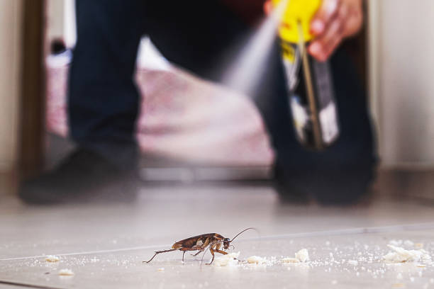 Best Exterminator Services  in Bloomingdale, NJ